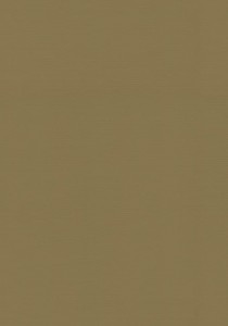 top_bg001
